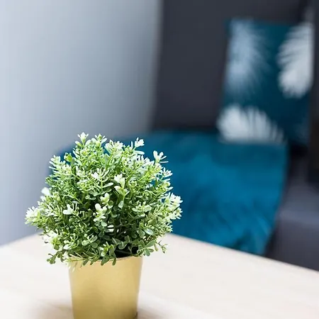 ✰ Murard -4 Pers - Wifi- Boite A Clef ✰ *